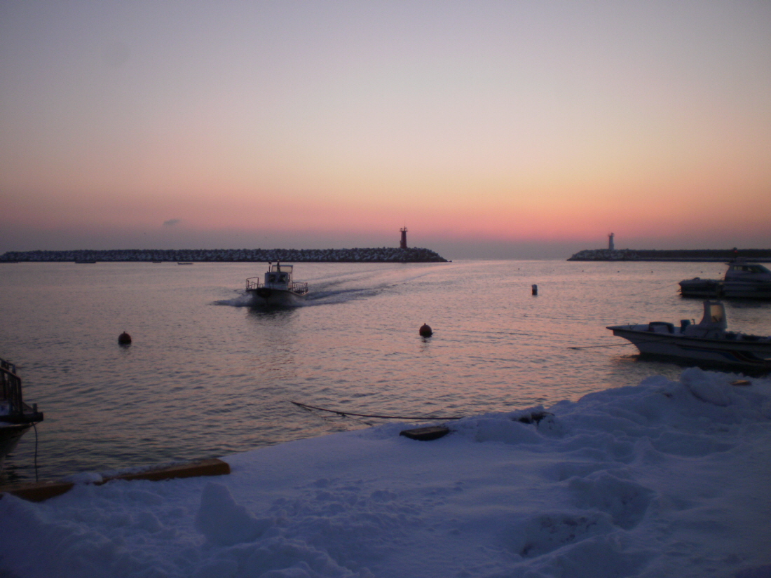 2011년 1월2일 진도접도 수품항 일출. 이미지