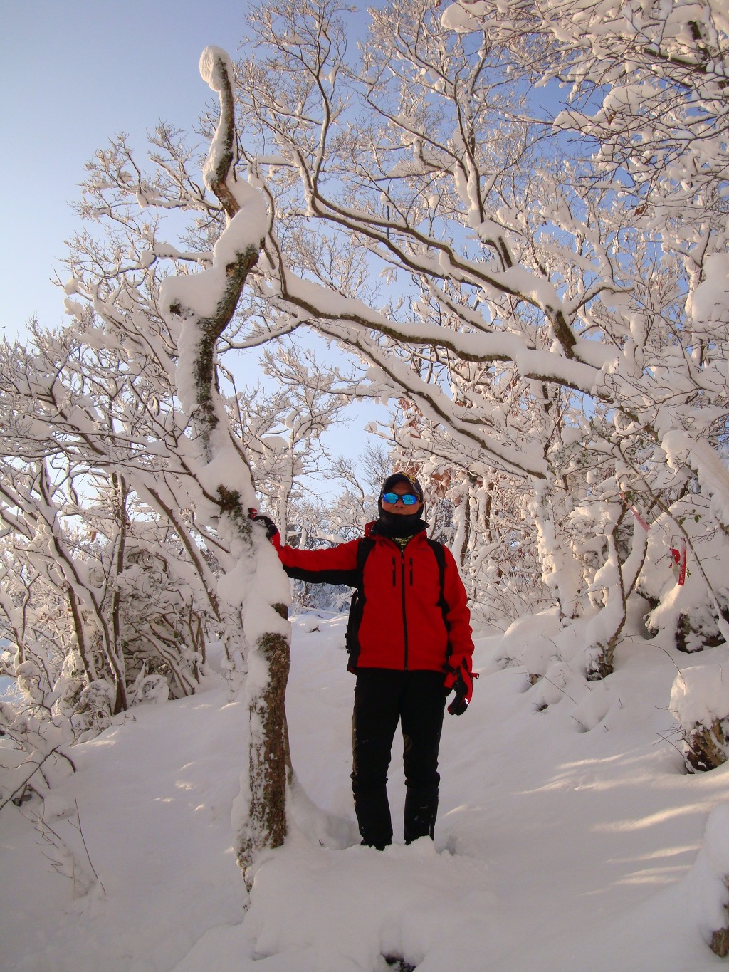 2011년 1월 1일 신년산행객이 제공한 웰빙등산로 설경. 첨부#6