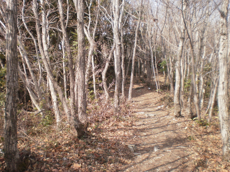 약이되는섬 진도접도웰빙길 이미지