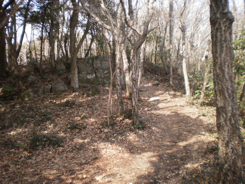 약이되는섬 진도접도웰빙길 첨부#2