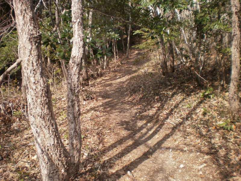 약이되는섬 진도접도웰빙길 첨부#4