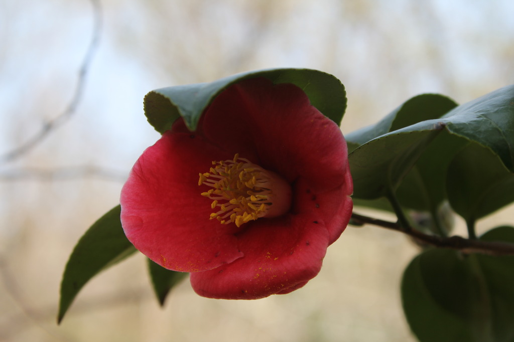 산월 등산로에서 첨부#3