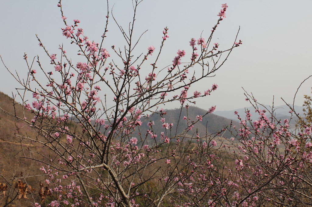 산월 등산로에서 첨부#4