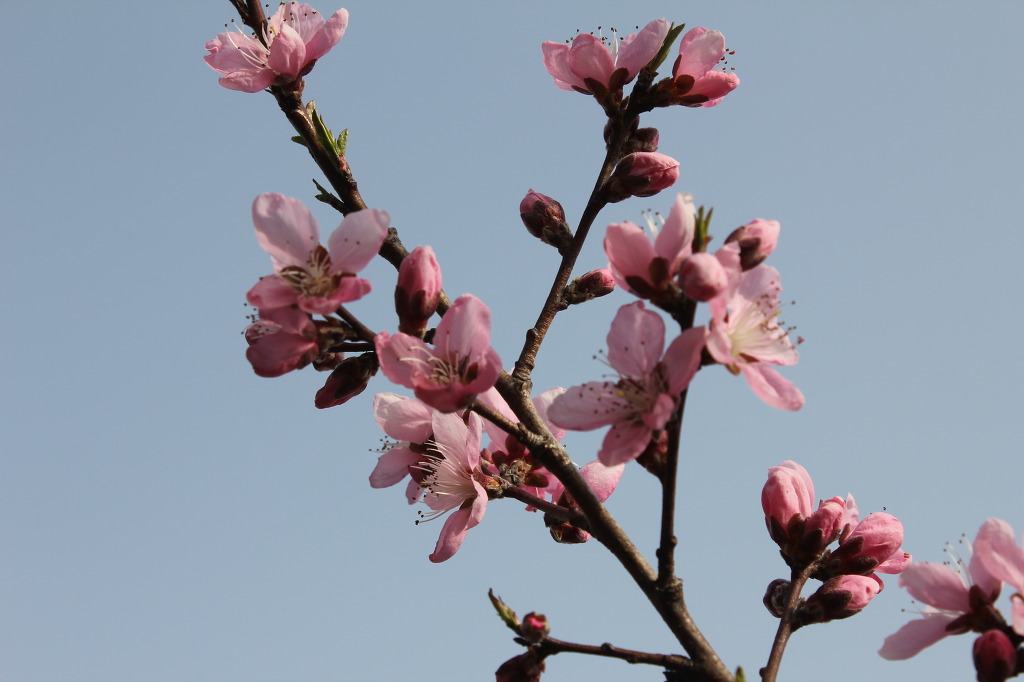 산월 등산로에서 첨부#5