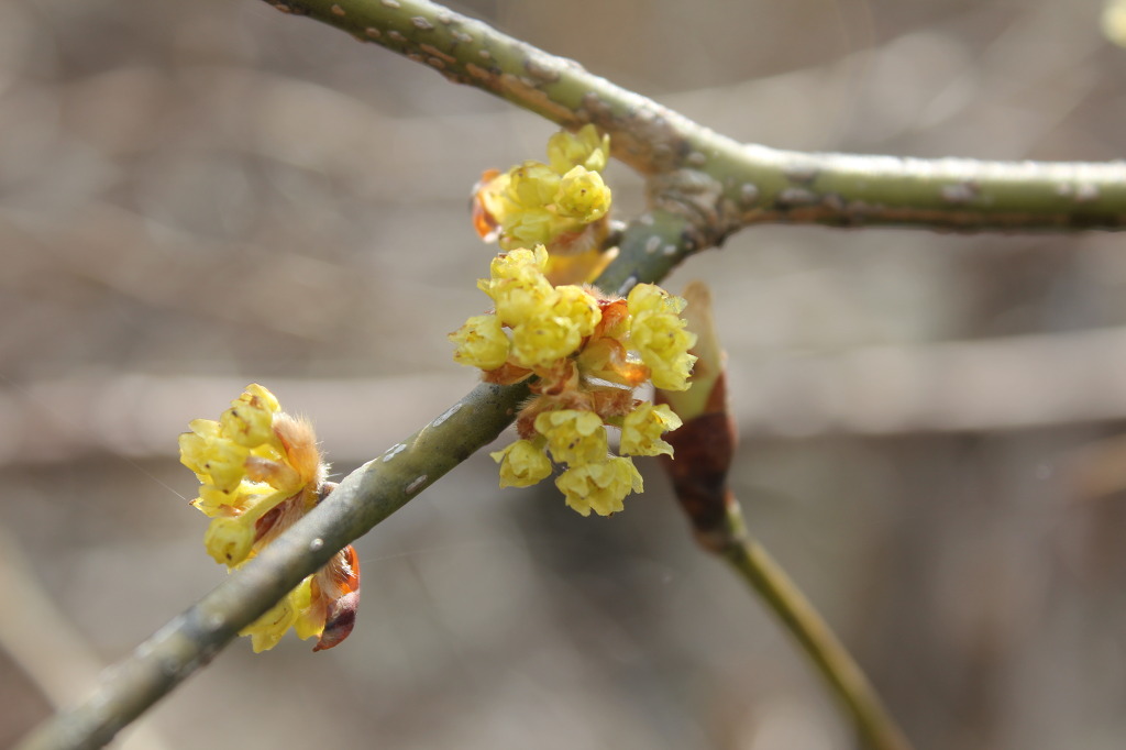 산월 등산로에서 이미지