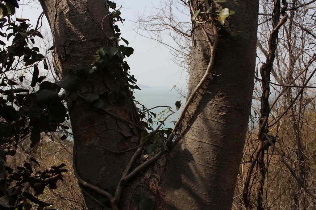 산월 등산로에서 첨부#2