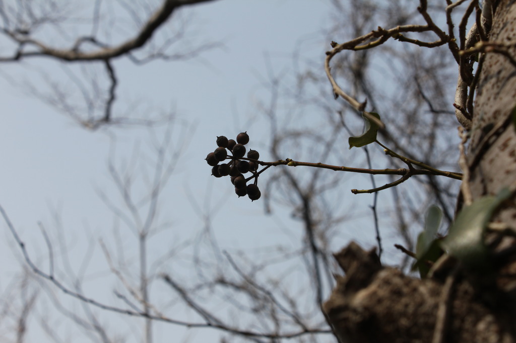 산월 등산로에서 첨부#3