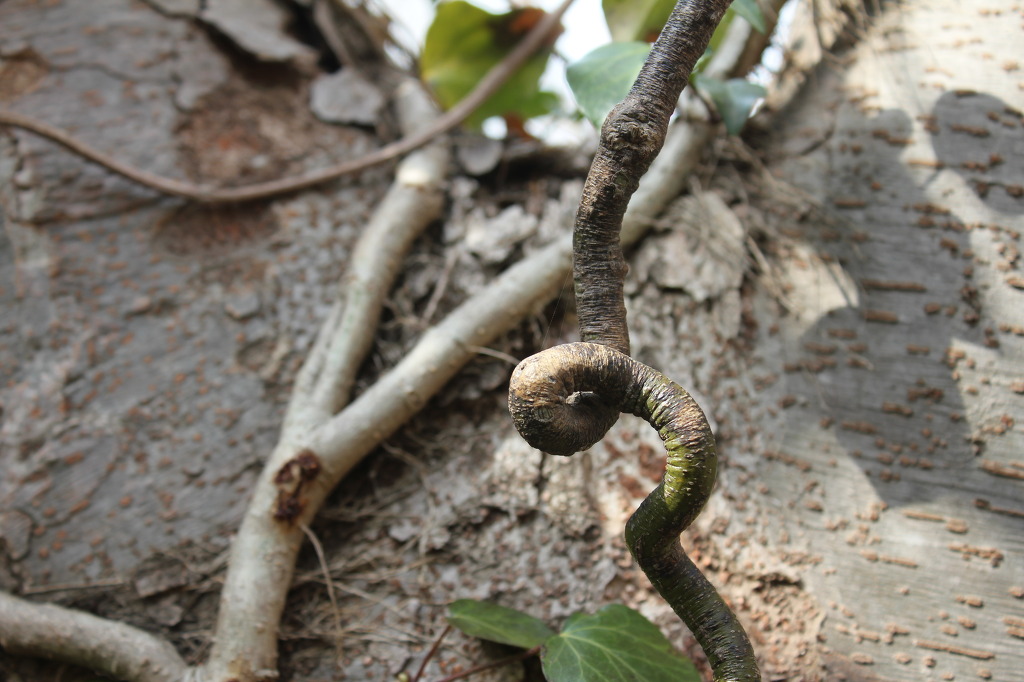 산월 등산로에서 첨부#4