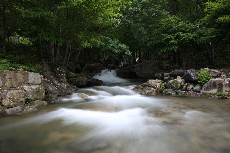 혹시! 제암산자연휴양림에 와 보셨나요? 이미지
