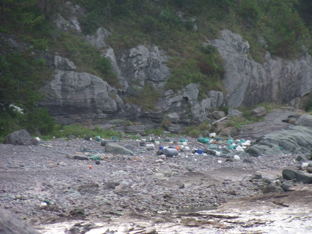 접도웰빙등산로 해안코스 쓰레기 정화 첨부#3