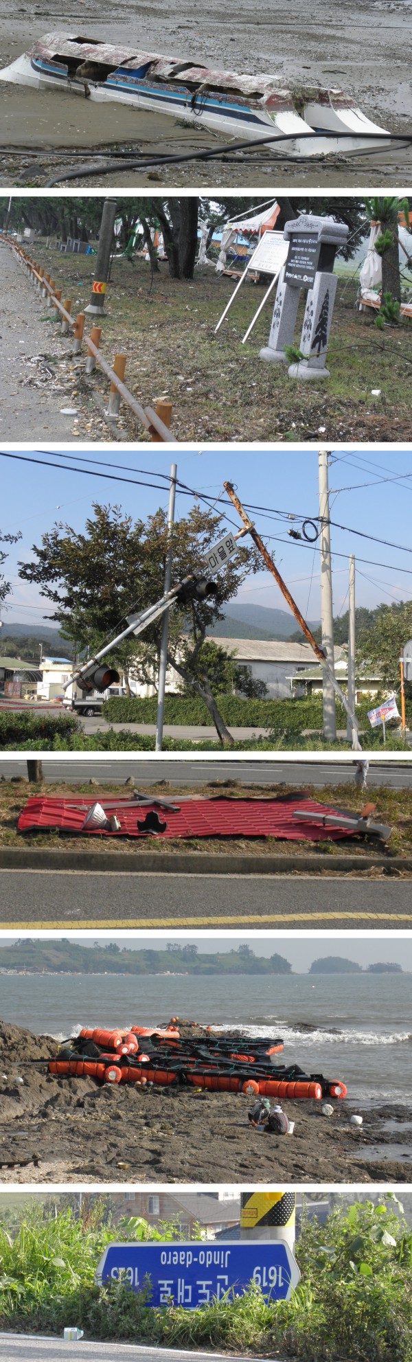 태풍 무이파가 남긴 상처들 이미지