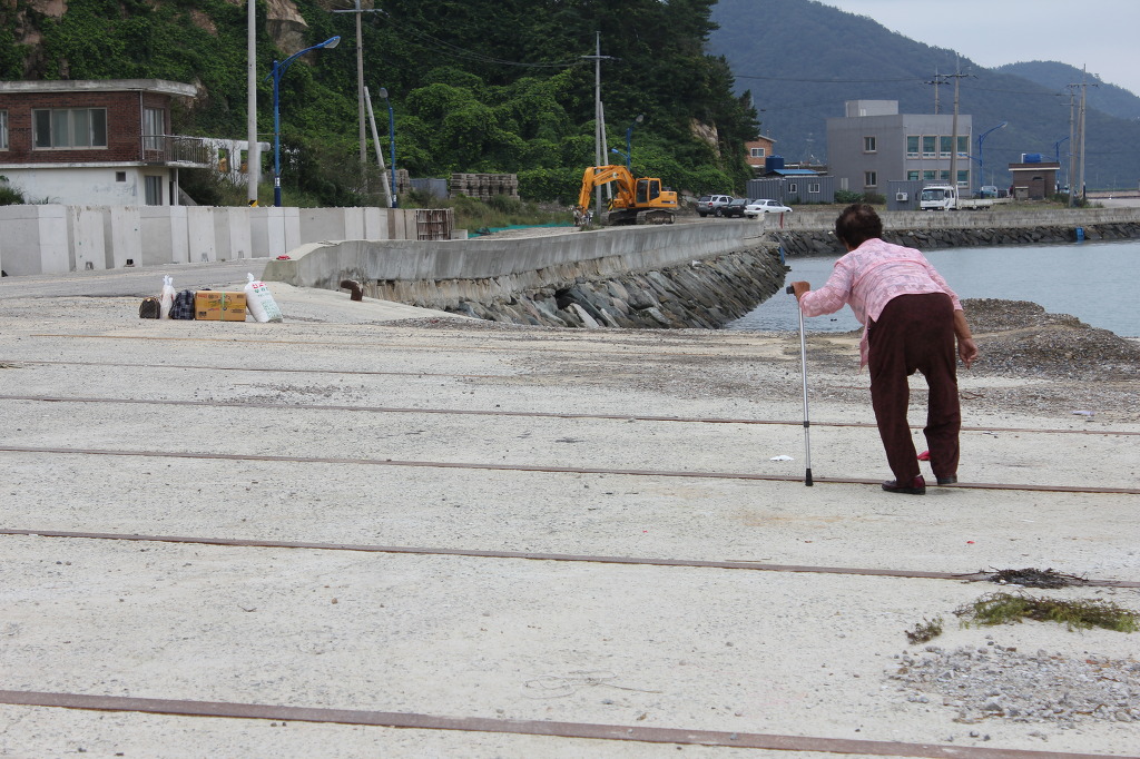노인인구 70% 에 노인질환 으로 고생하는데 이미지