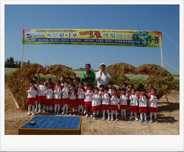 녹진 메밀꽃 체험행사 이미지