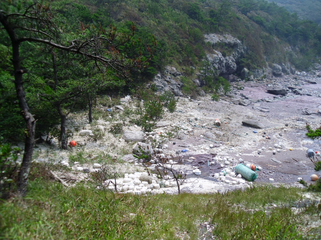 관심을 요망 합니다. 이미지