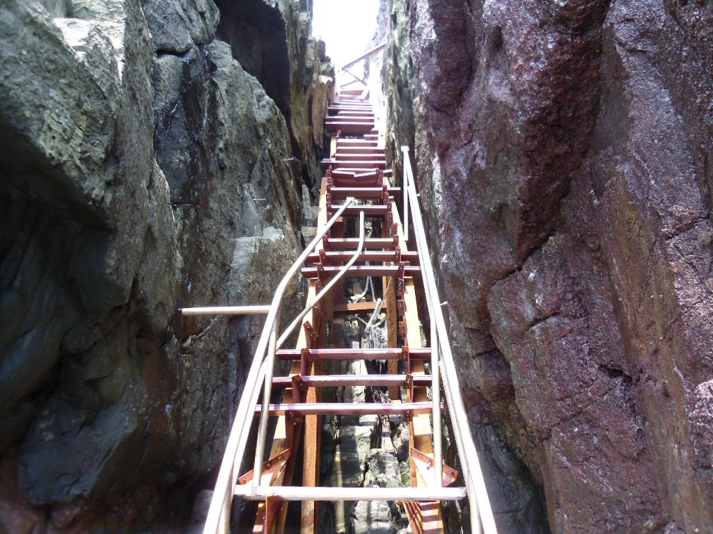 관심을 요망 합니다. 첨부#4