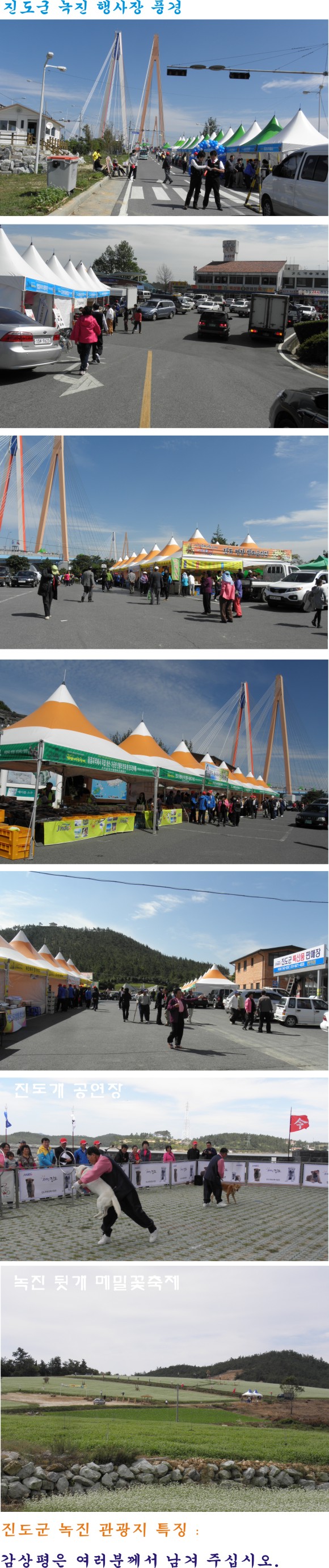 2011 명량대첩 축제 이모저모 첨부#2