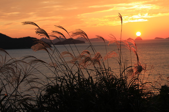 전두 해안도로 가을노을 이미지