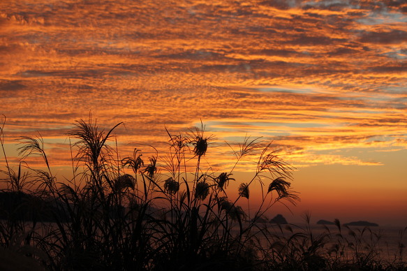 전두 해안도로 가을노을 첨부#2