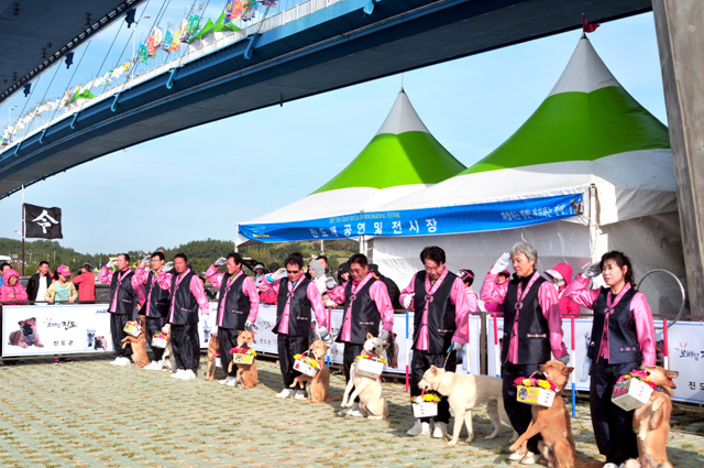 전라남도후원 진도개공연단 첨부#3