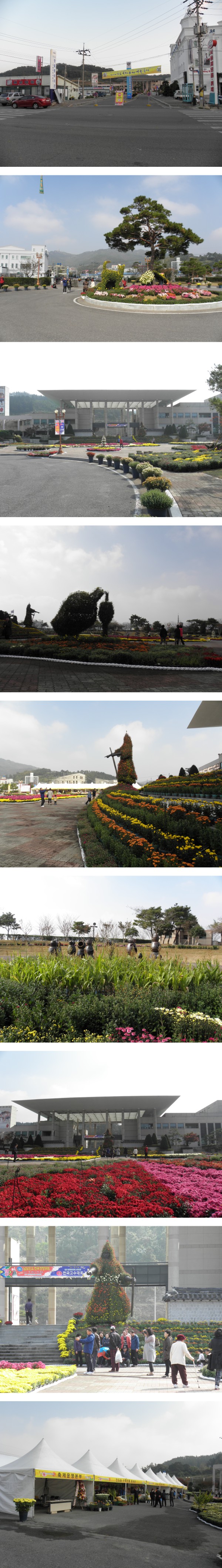 국화축제 이미지