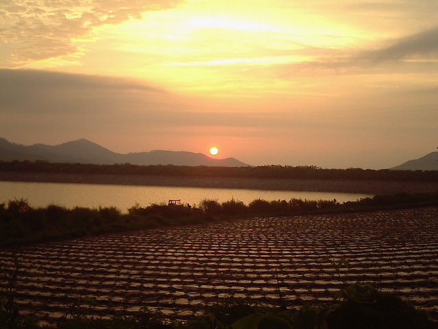 뜨는 해. 이미지