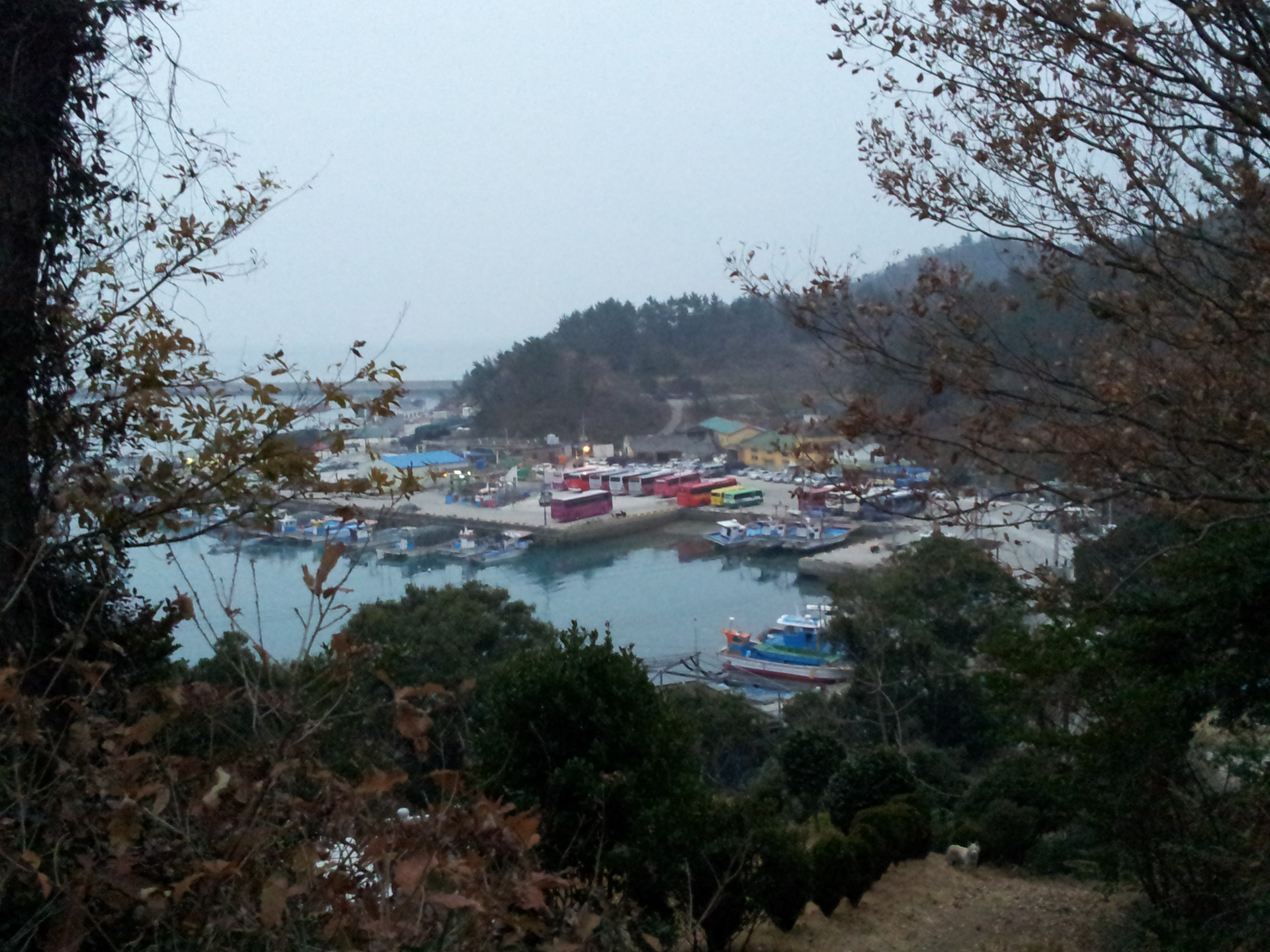 임진년의 진도접도 첫날.. 첨부#2