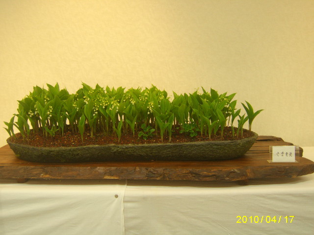 은방울꽃 이미지