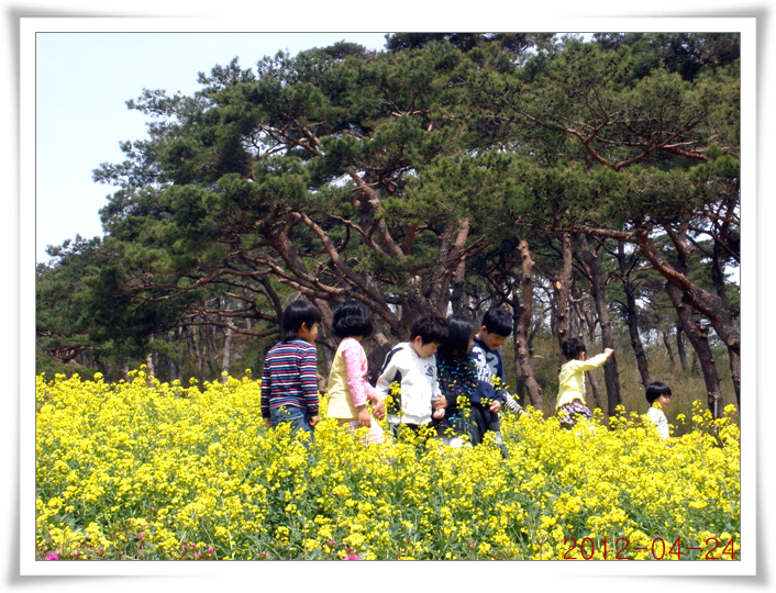 지산면 어린이 꽃동산 이미지