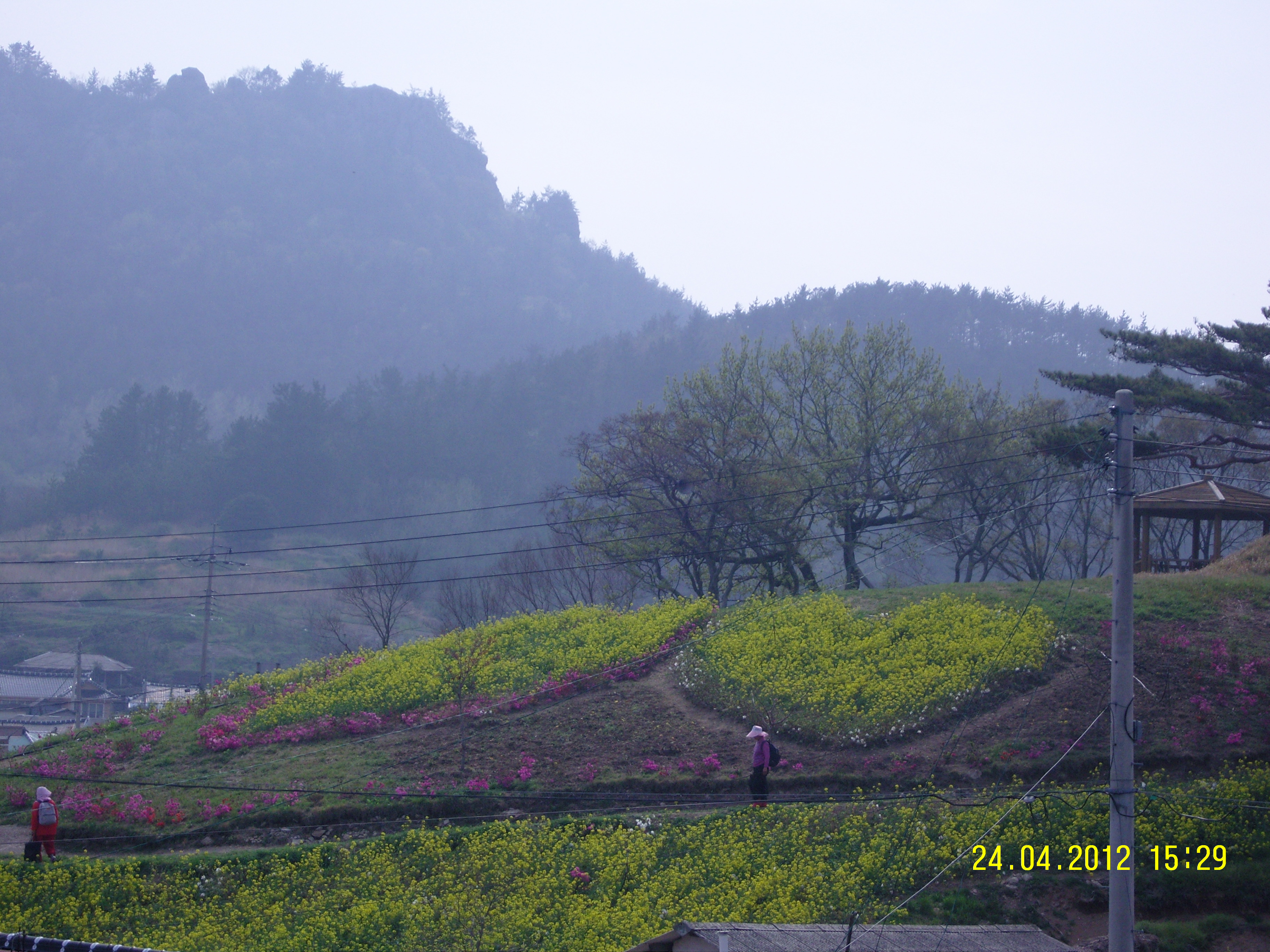 인지리 꽃동산"하트" 이미지