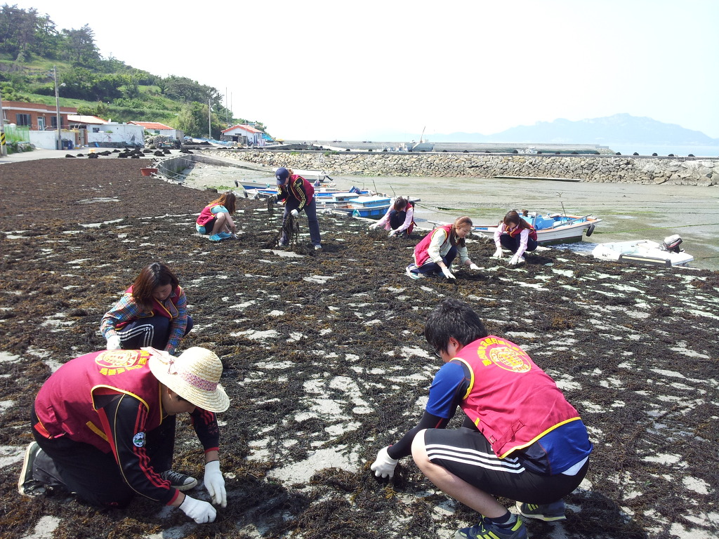 광주동운 로타리클럽과 동신대학교 로타랙트 6월2~3일 진도 관매도 의료봉사 첨부#6