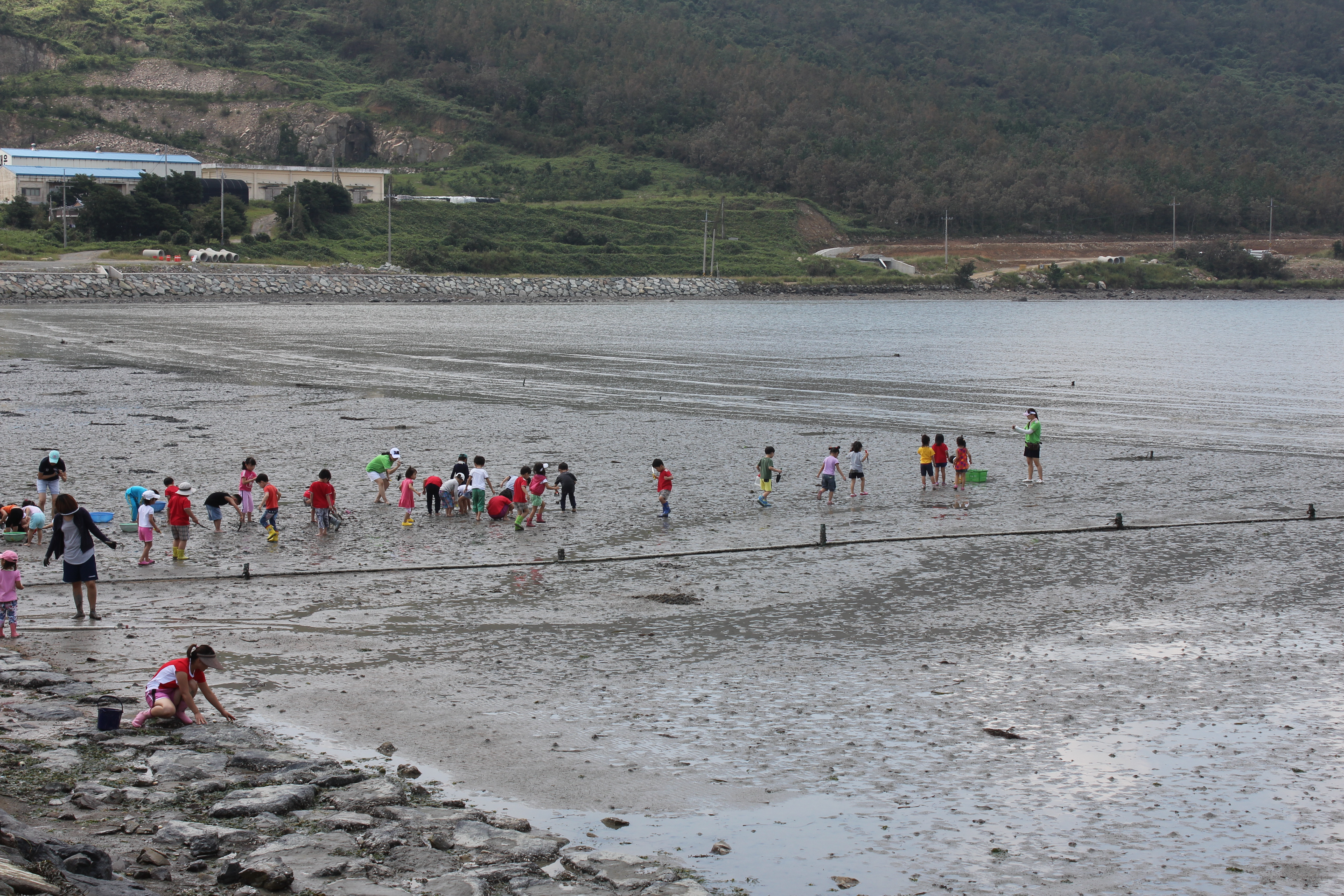 개매기 행사장 을   자연바다  생태 학습장으로 이미지