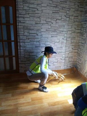 진도군 방범연합회 의신면 창포리 태풍피해현장속으로 ~~ 첨부#8