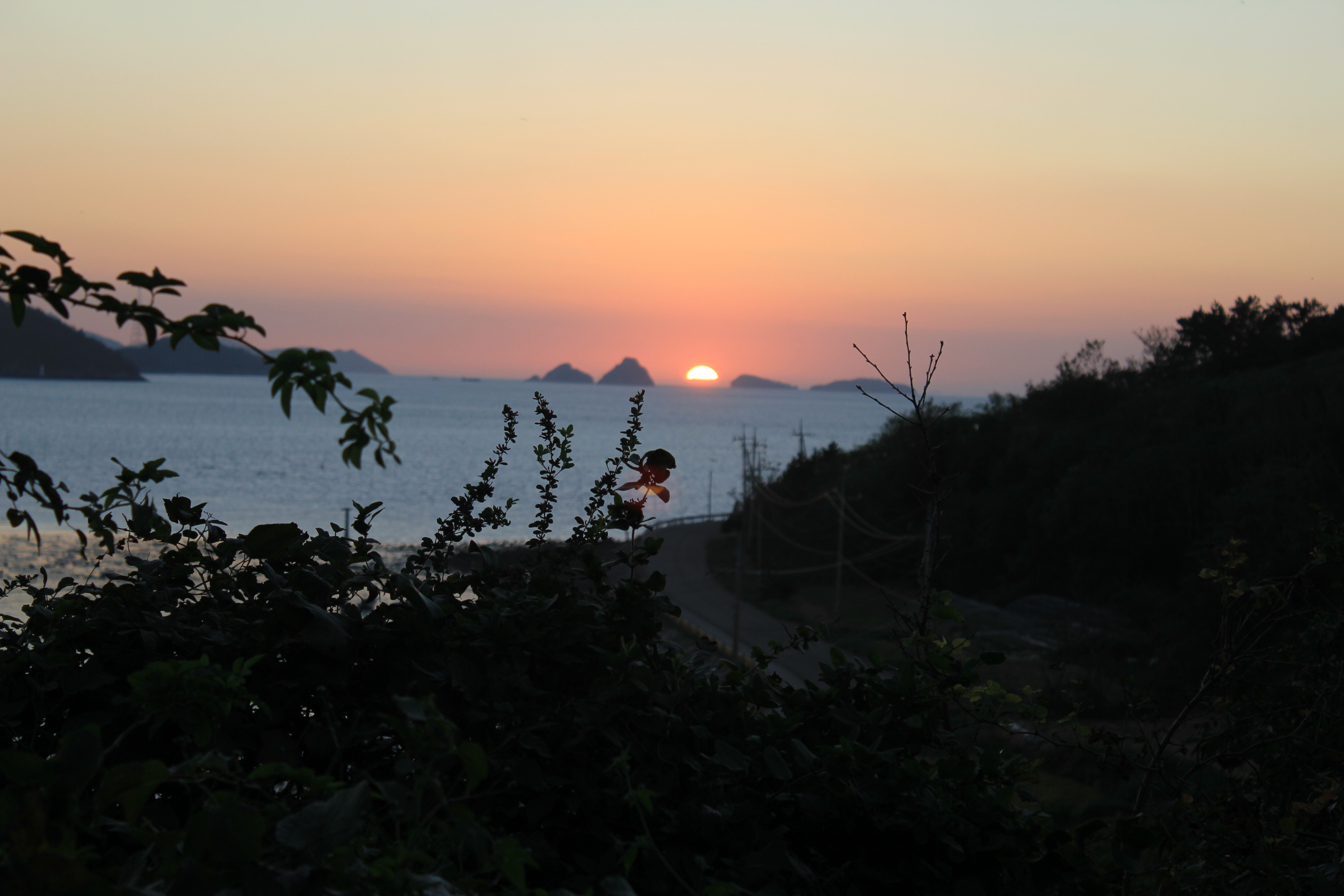 서부 해안도로 (803번도로)관광지  지정을 첨부#2