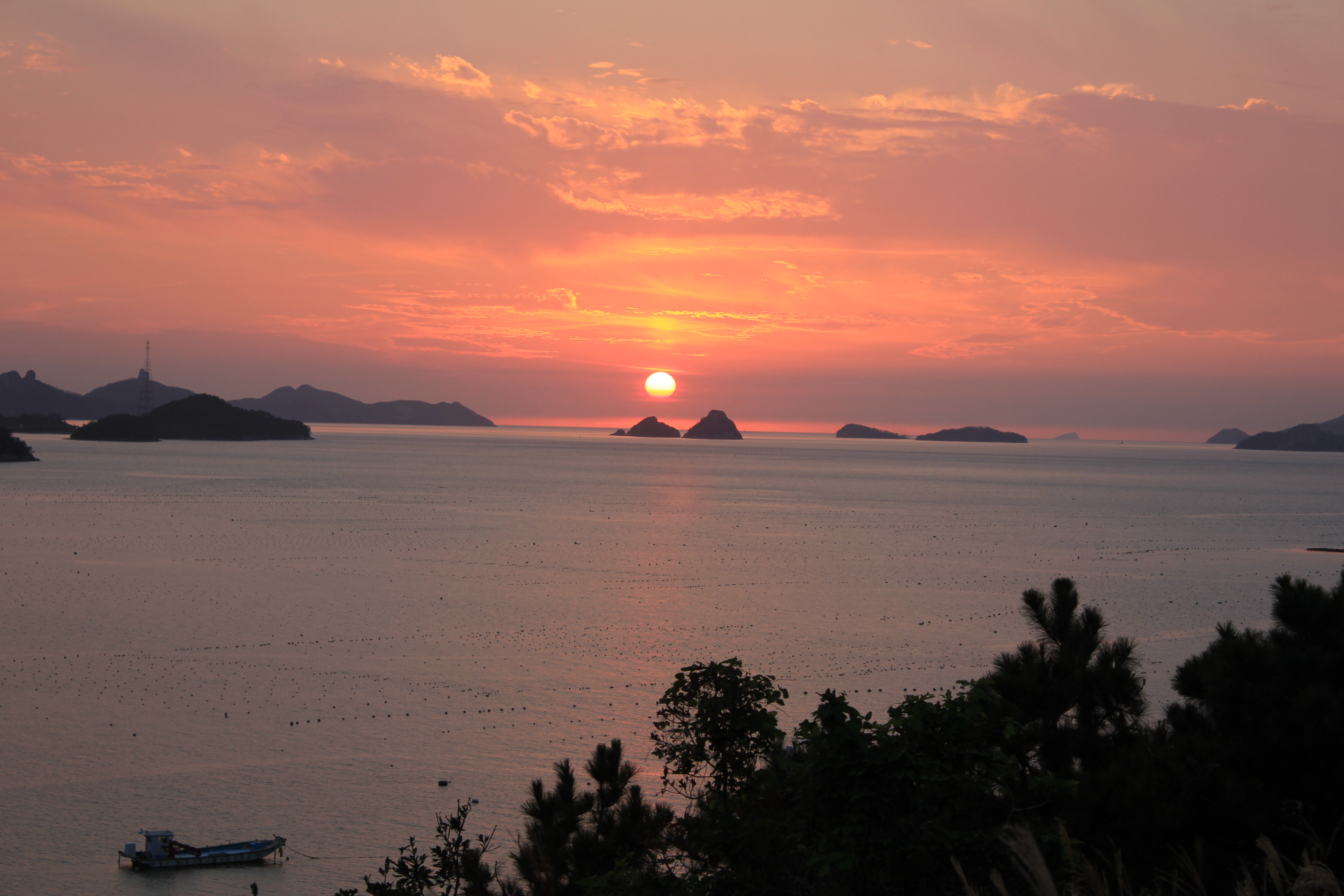 서부 해안도로 (803번도로)관광지  지정을 첨부#4