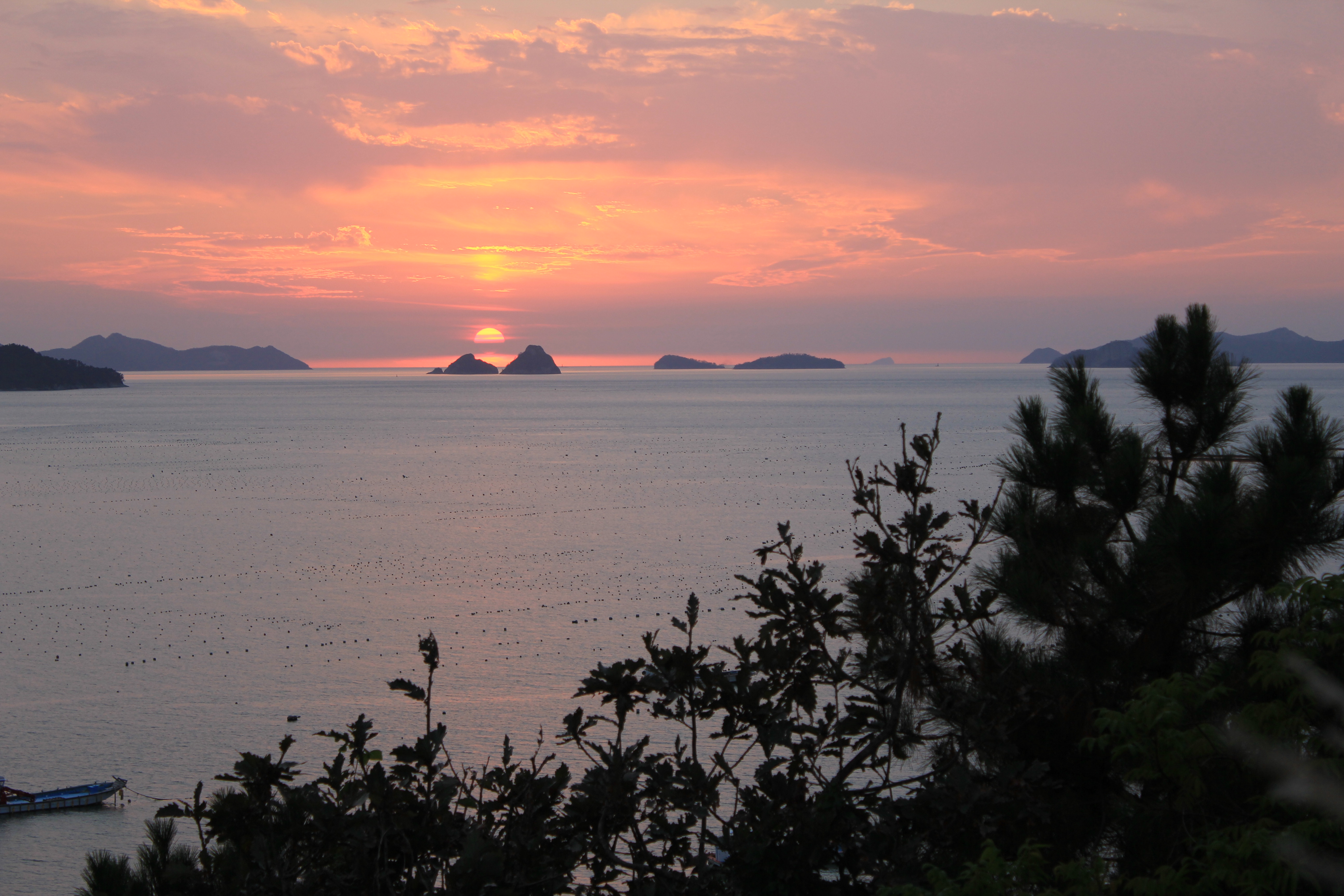 서부 해안도로 (803번도로)관광지  지정을 첨부#5