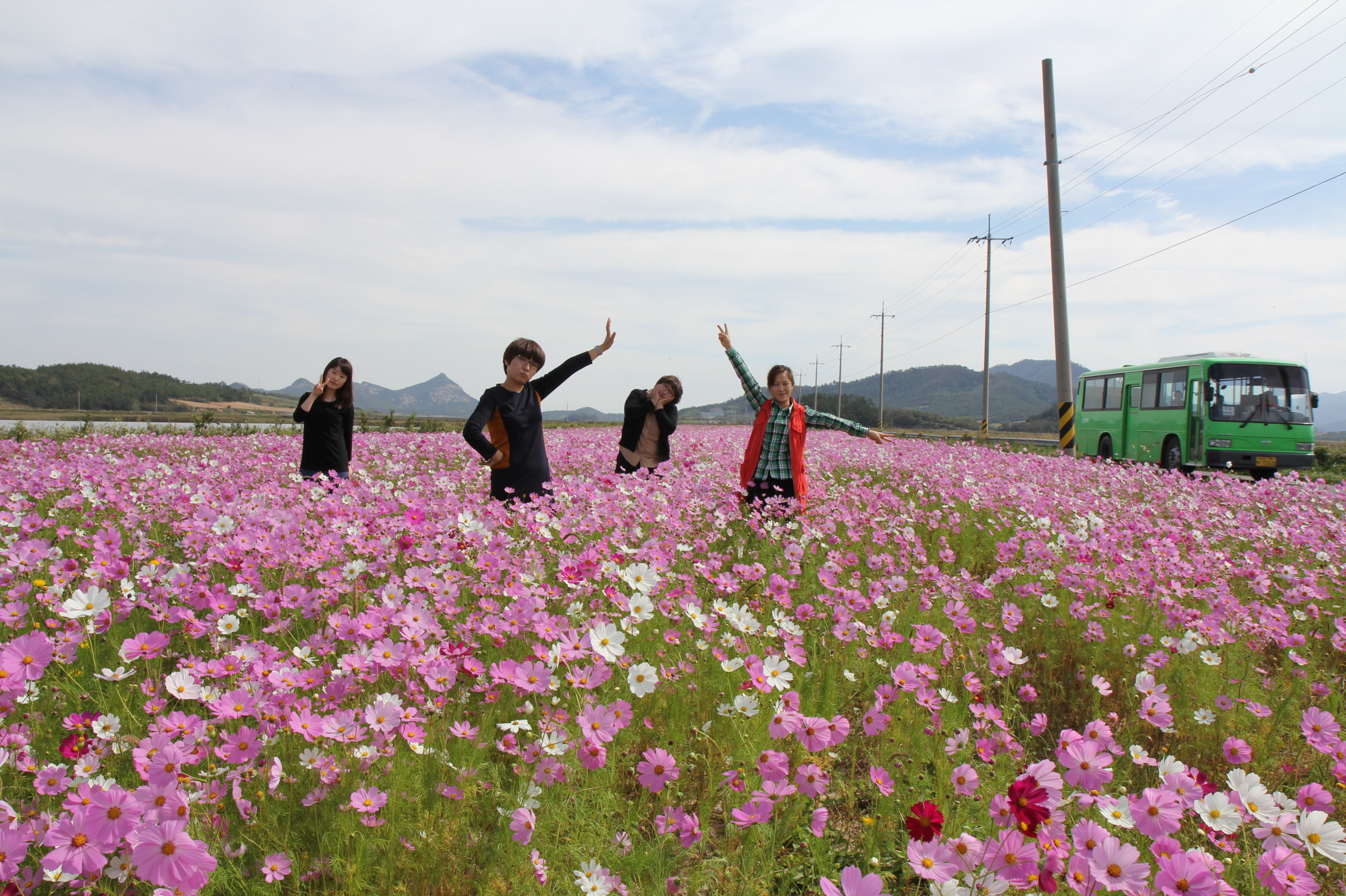 전두뚝방 코스모스길로 가족과 함께 구경오세요^^ 첨부#2
