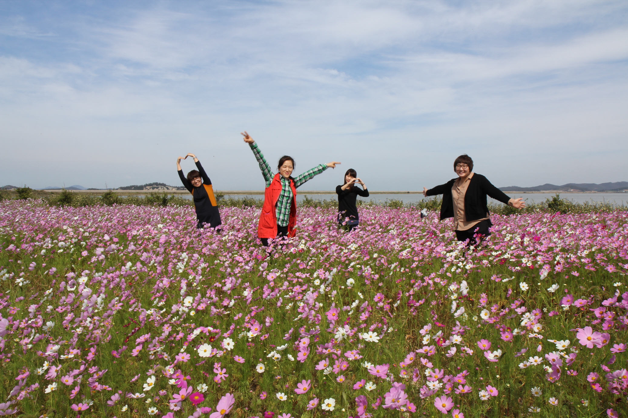 전두뚝방 코스모스길로 가족과 함께 구경오세요^^ 첨부#3