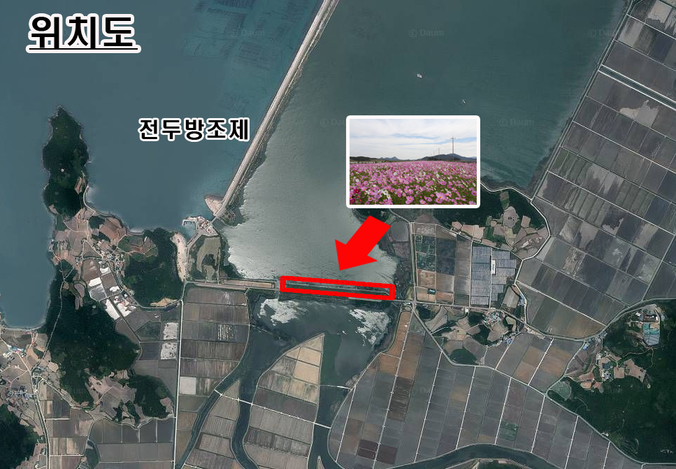 전두뚝방 코스모스길로 가족과 함께 구경오세요^^ 첨부#5