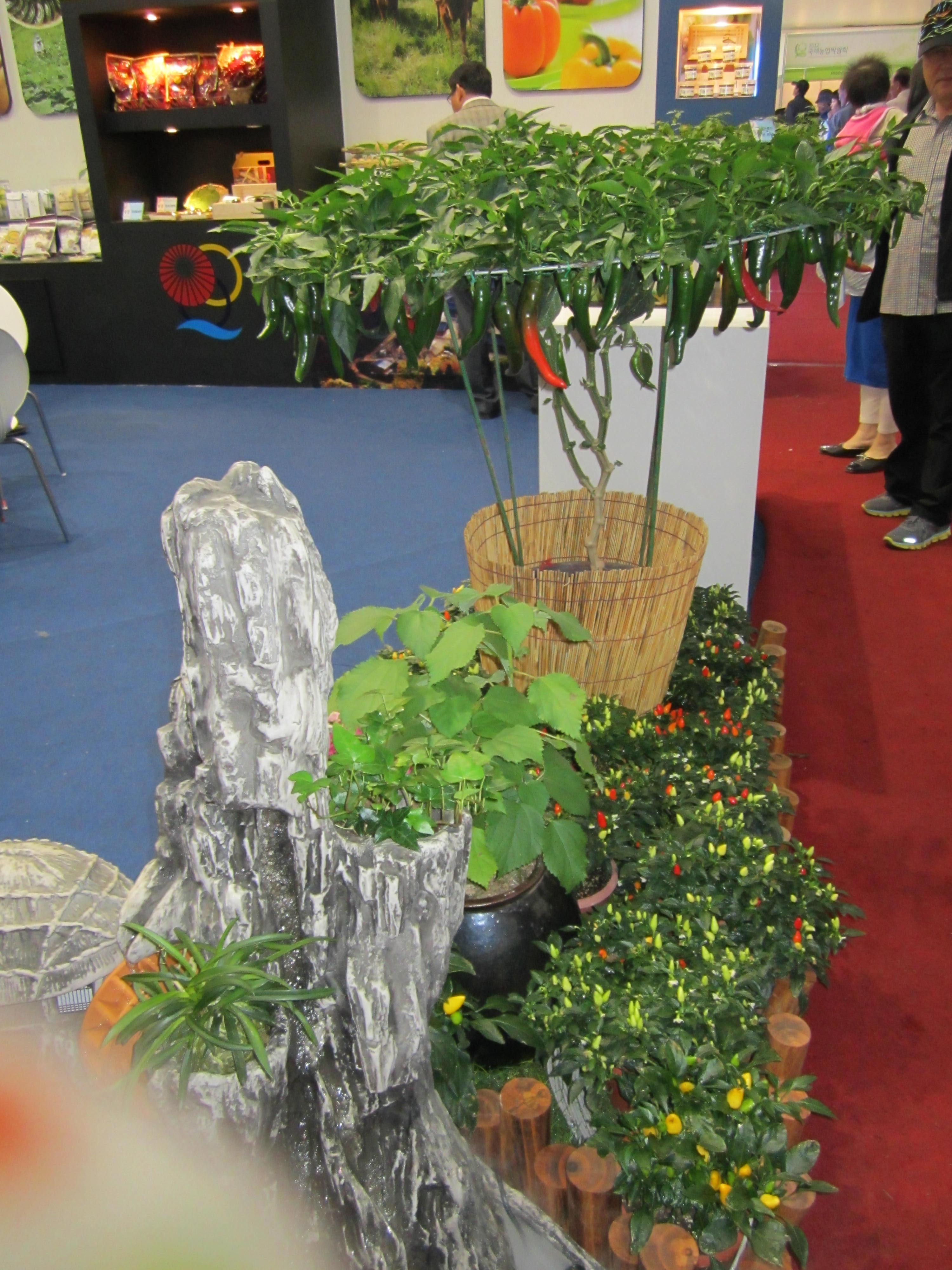 2012국제농업박람회 이미지