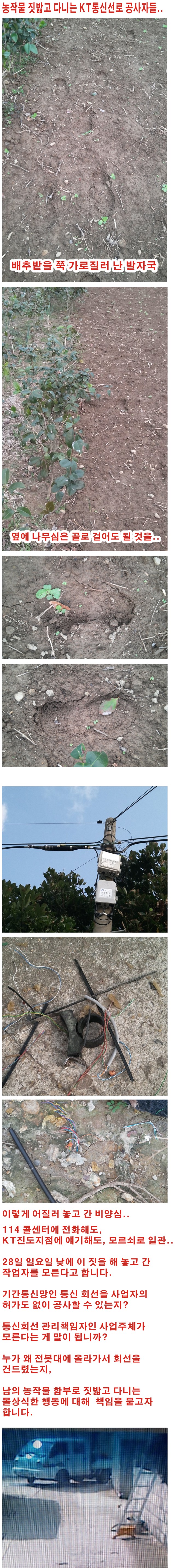 2012 의신면 어르신 위안 잔치 성료 첨부#4