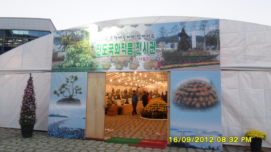 진도군 국화 축제 첨부#2