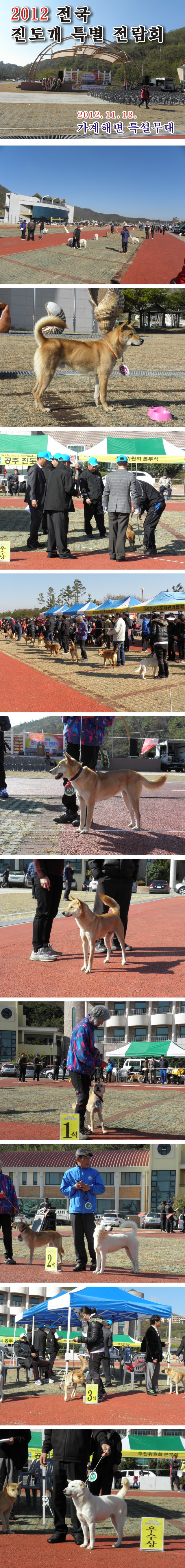 제1회 진도군이장단협의회 한마음대회 이미지