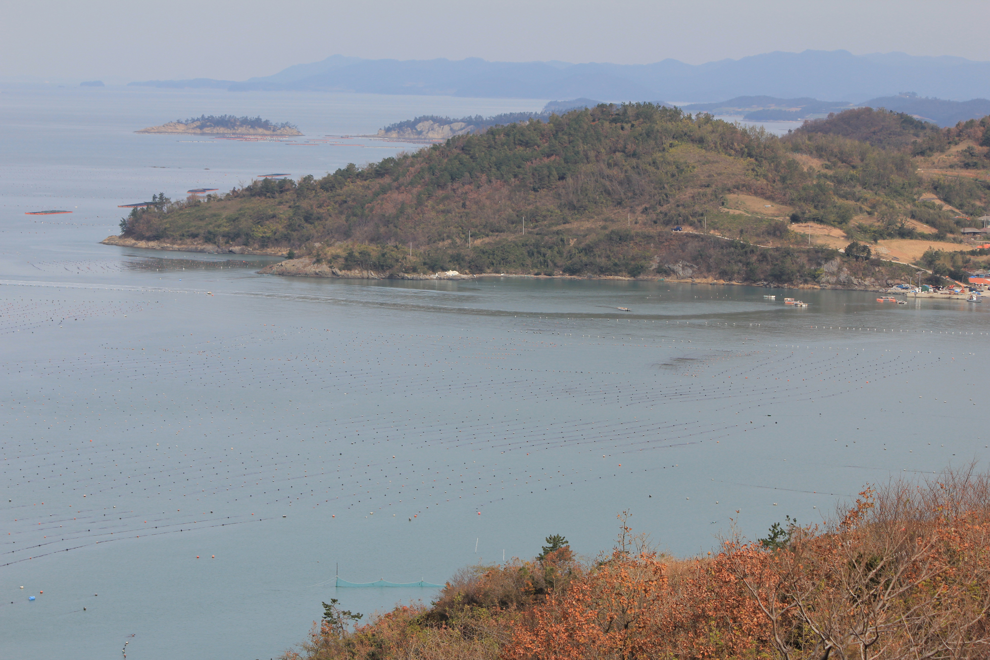 산월리 맴재 등산로를 ~(쉬미항~연대봉) 첨부#2