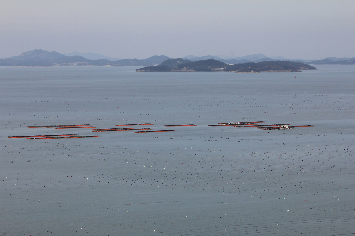 산월리 맴재 등산로를 ~(쉬미항~연대봉) 첨부#3
