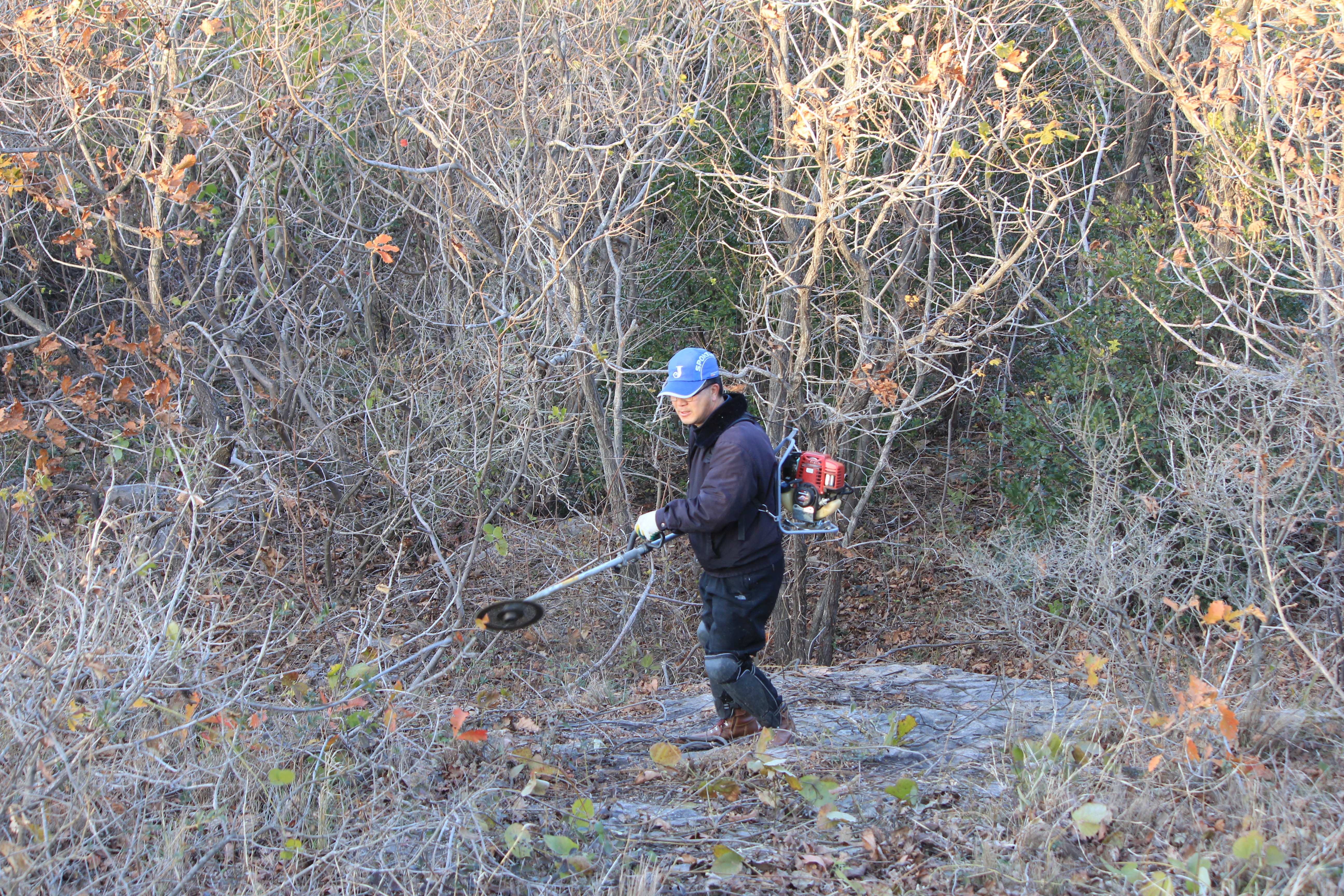 귀촌인과 함께  등산로를 이미지