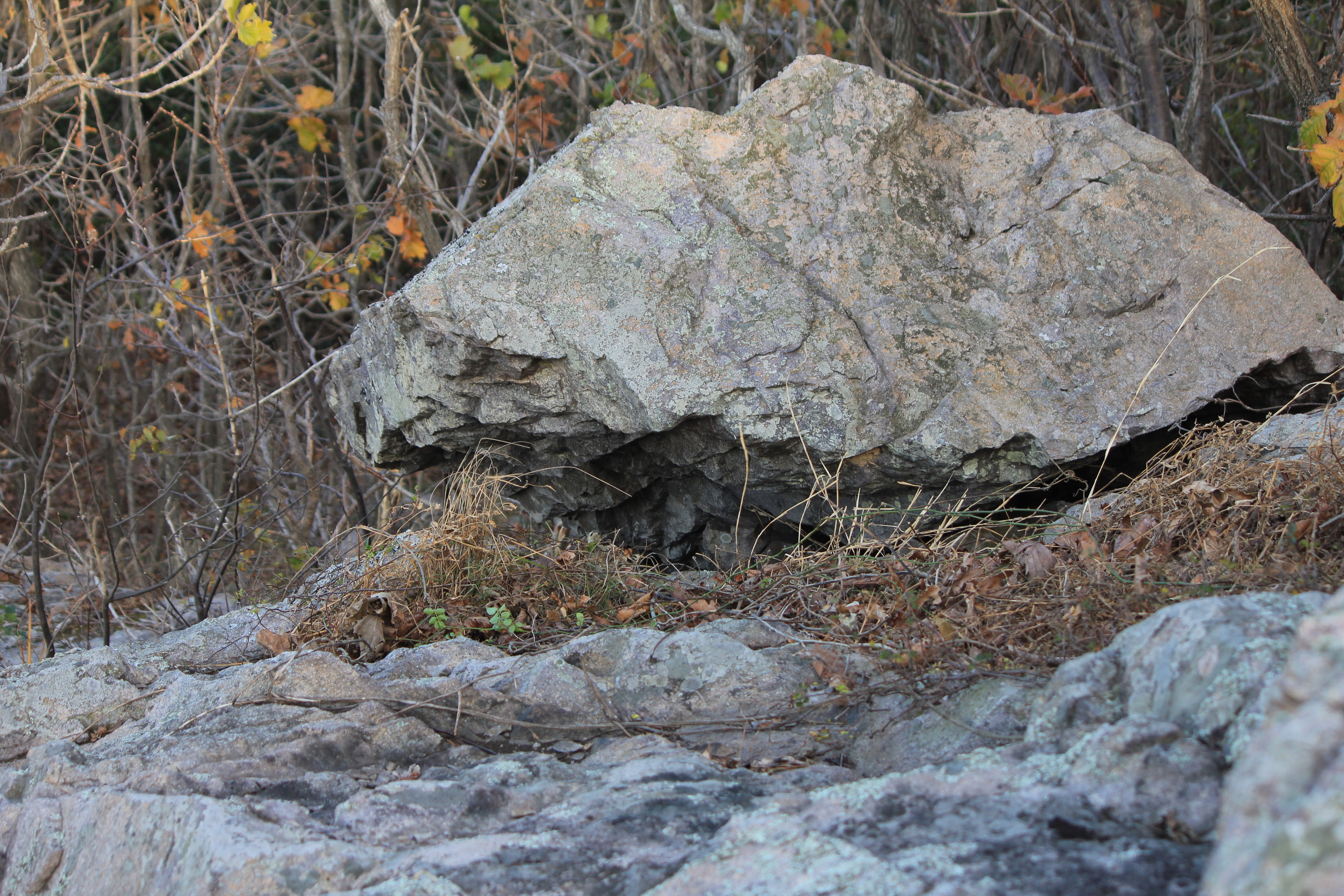 귀촌인과 함께  등산로를 첨부#2