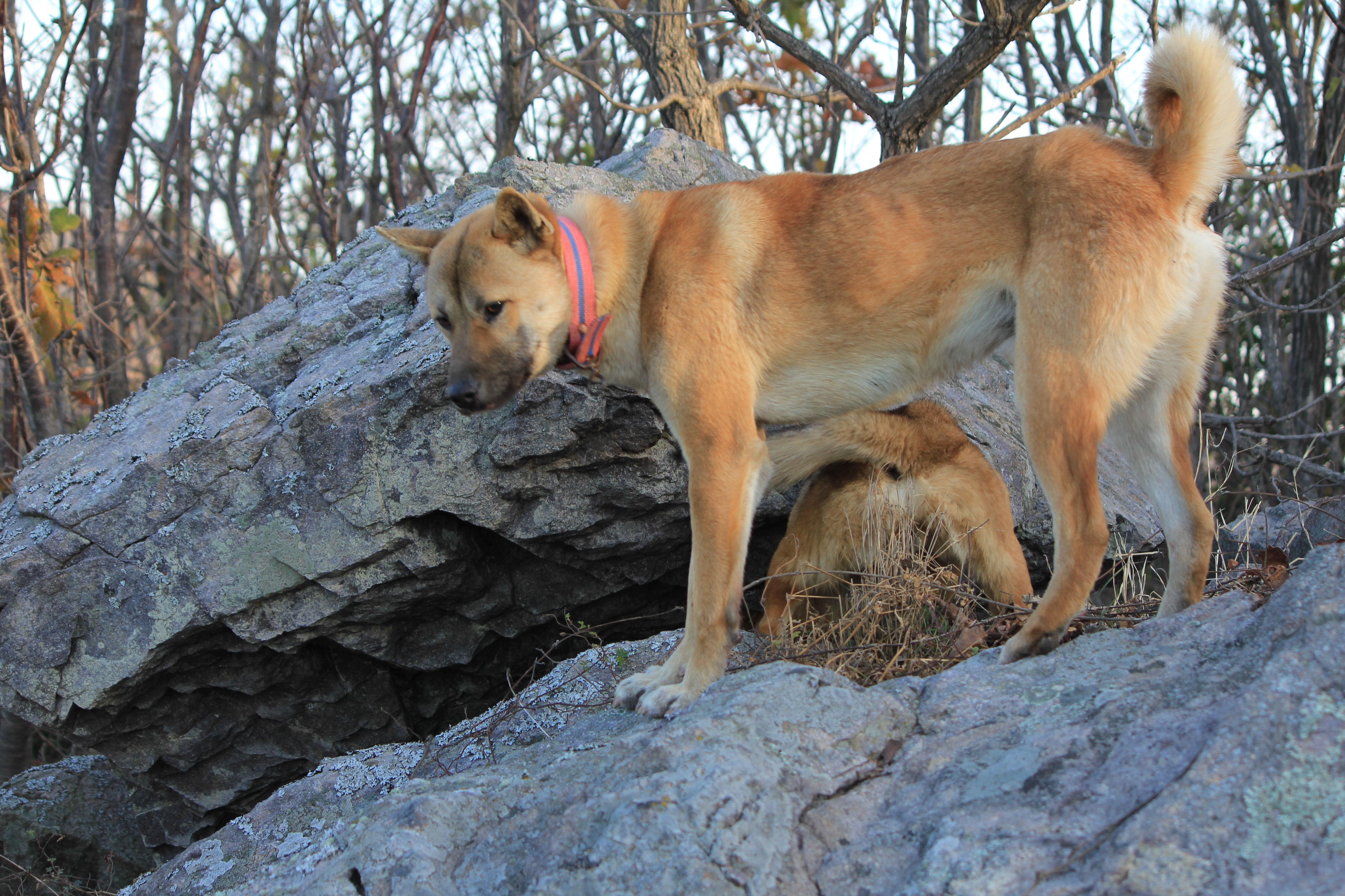 귀촌인과 함께  등산로를 첨부#3