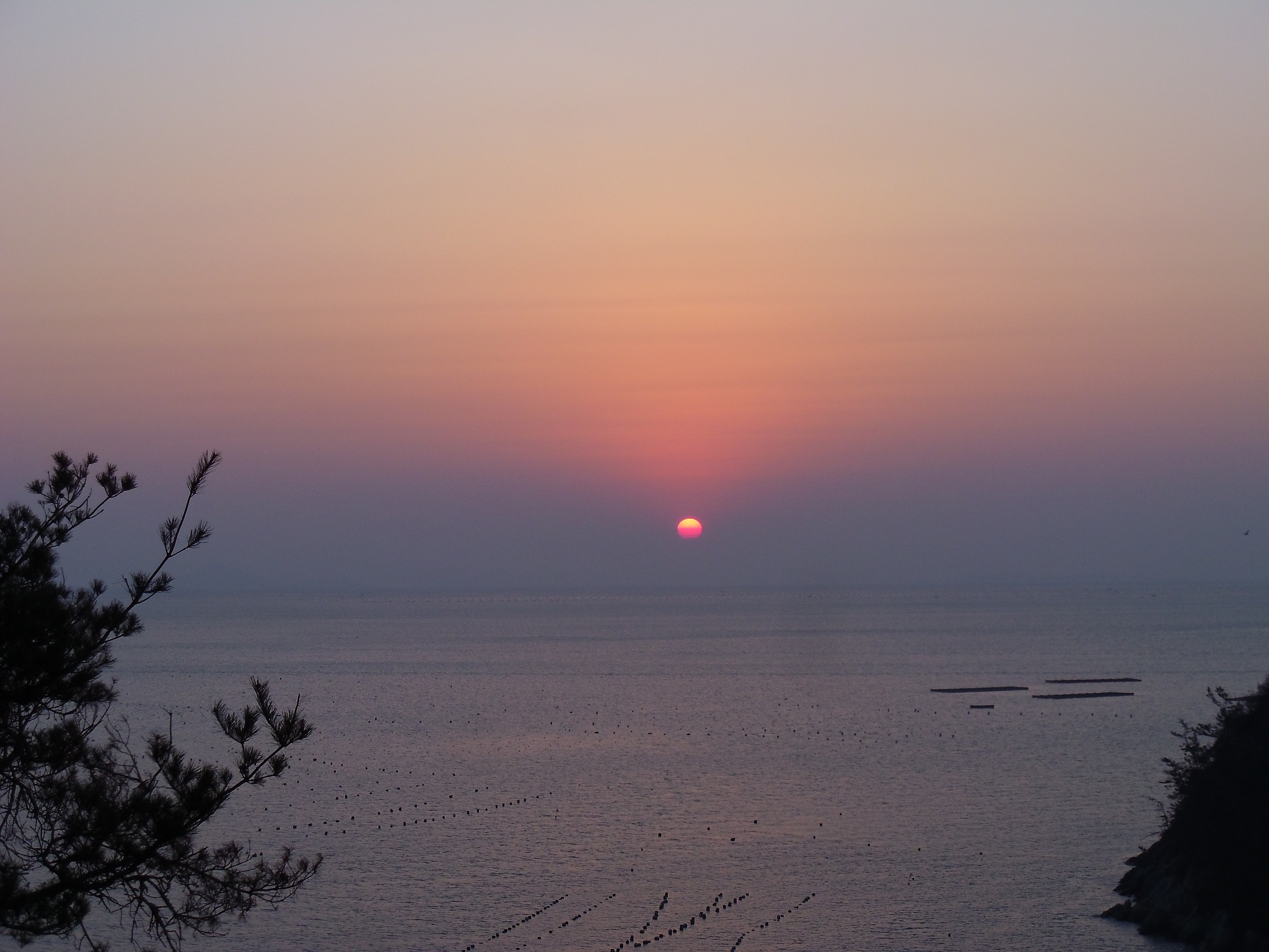 진도 접도 수품항 목섬끝 해맞이. 첨부#2