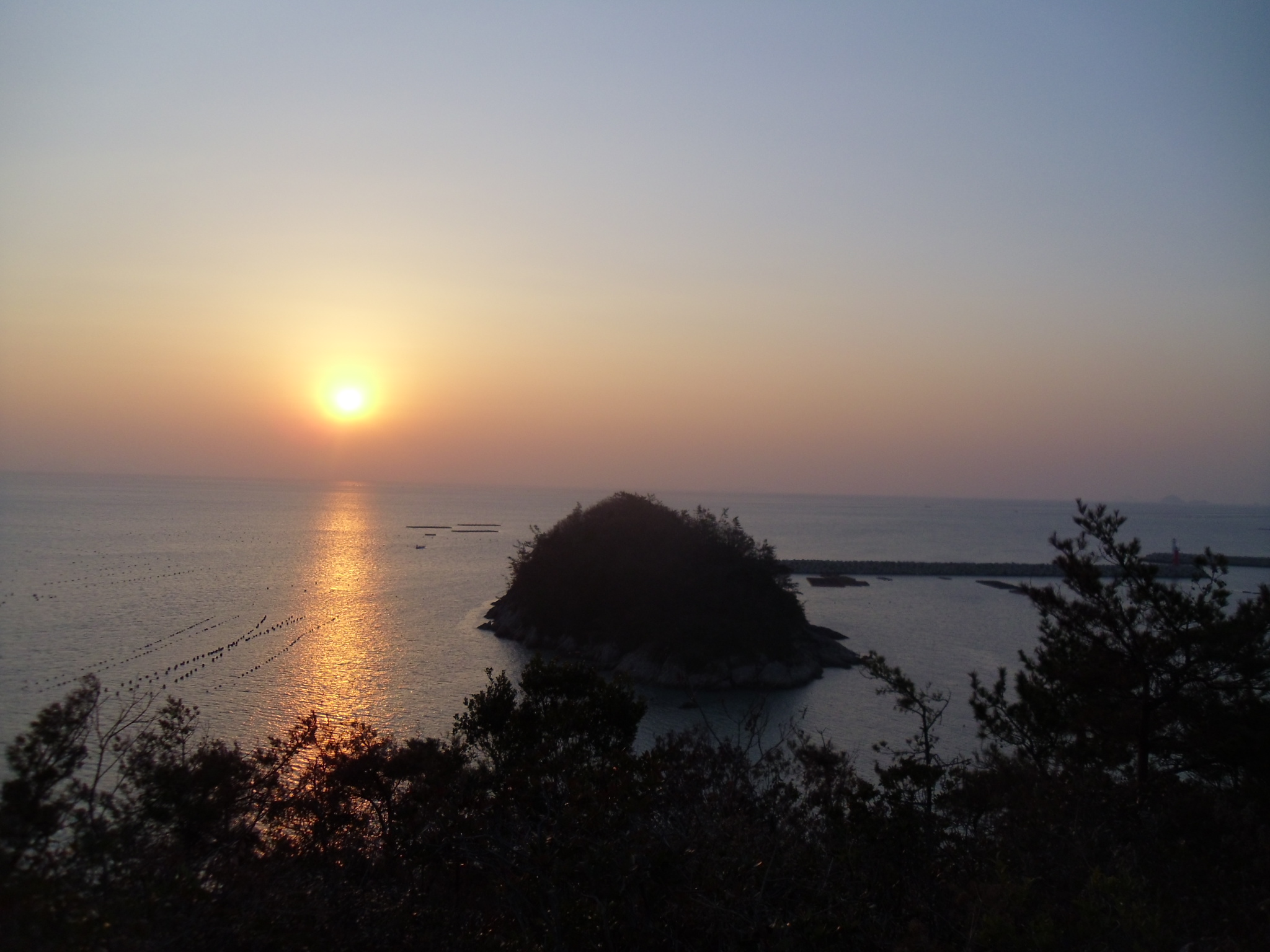 진도 접도 수품항 목섬끝 해맞이. 첨부#5