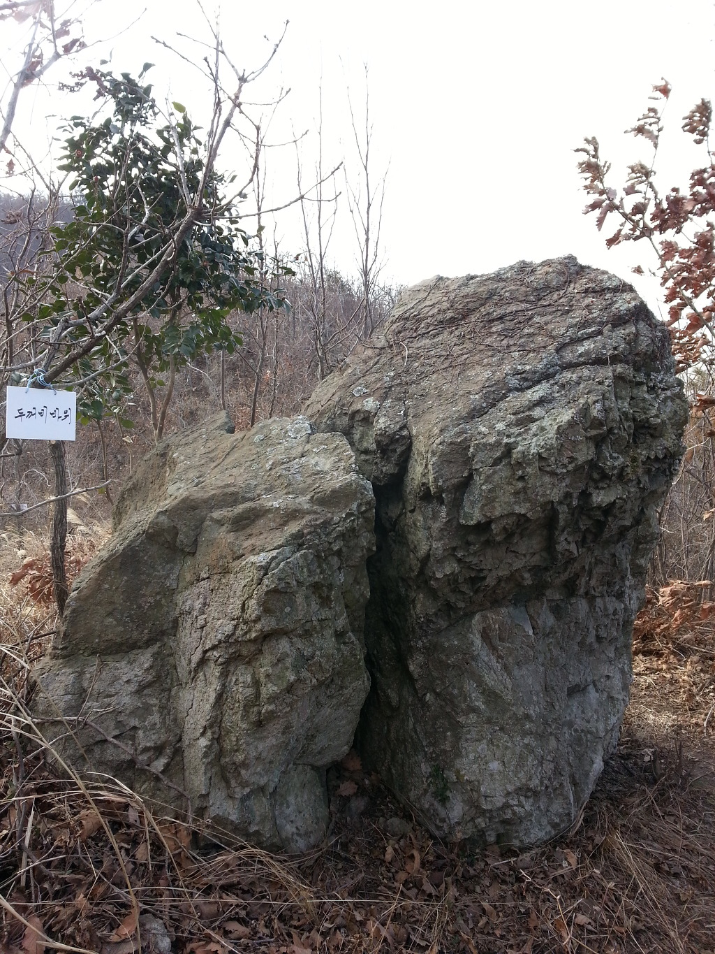 맴재 등산로에서 발견한 보물들 이미지